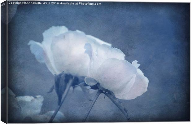 Delicate Flowers in Blue Canvas Print by Annabelle Ward