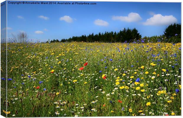 Wild Flowers Meadow Canvas Print by Annabelle Ward