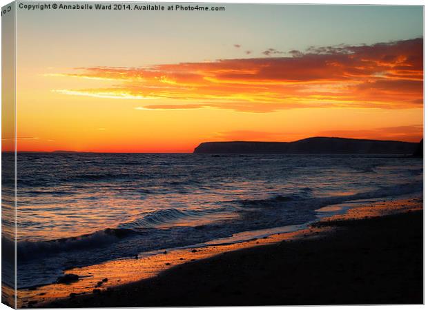 Sunset on Shore. Canvas Print by Annabelle Ward