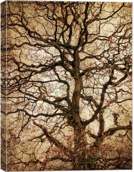  Autumn Love Tree Canvas Print by Annabelle Ward