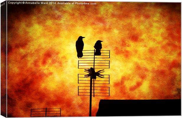  Two Crow Fire Canvas Print by Annabelle Ward