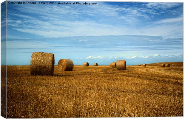  Straw Bale Fields Forever. Canvas Print by Annabelle Ward