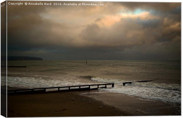 Stormy Sea Shore Canvas Print by Annabelle Ward