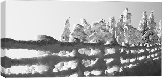Snow scape Canvas Print by Sergiu Gabriel Mihu