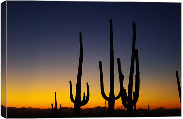Arizona Sunset Canvas Print by Claudio Del Luongo