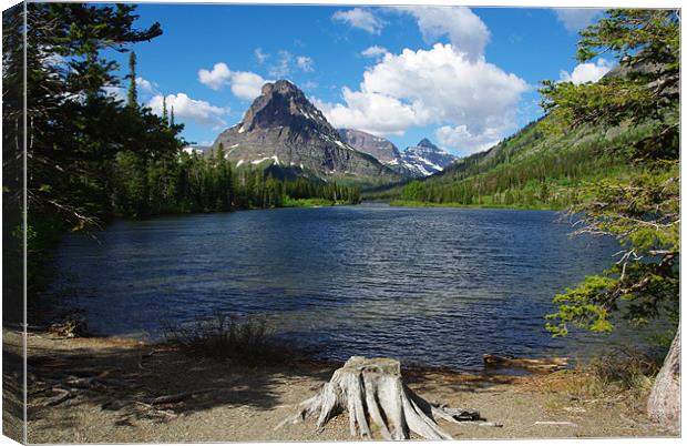 Montana Canvas Print by Claudio Del Luongo