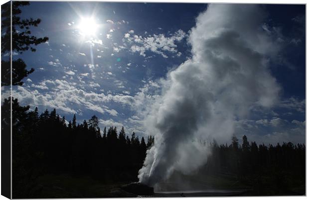 Powerful geyser in Yellowstone Canvas Print by Claudio Del Luongo
