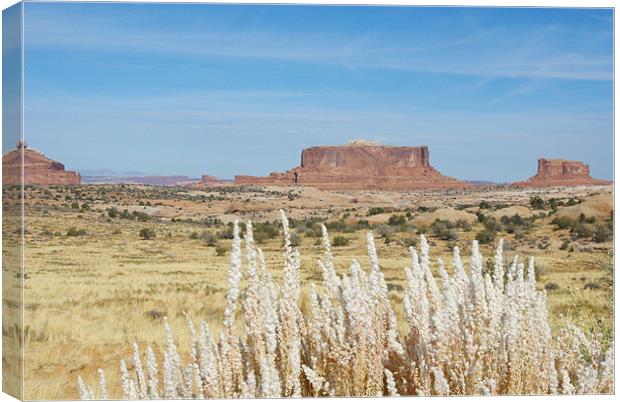 Monitor and Merrimac Buttes, Utah Canvas Print by Claudio Del Luongo