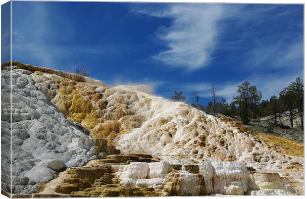 Mammoth Terraces, Yellowstone Canvas Print by Claudio Del Luongo