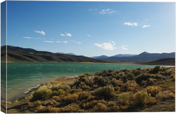 Illipah Creek Reservoir, Nevada Canvas Print by Claudio Del Luongo