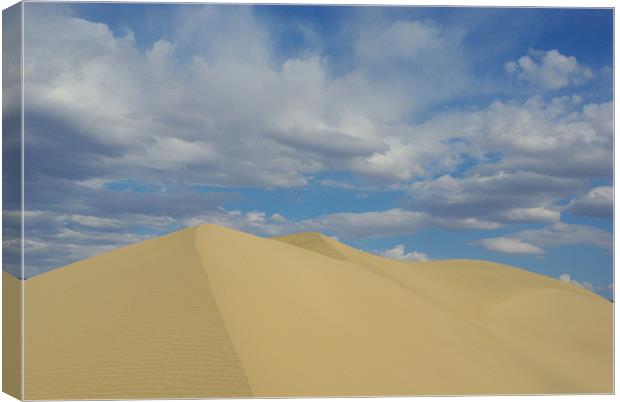 Death Valley dune Canvas Print by Claudio Del Luongo