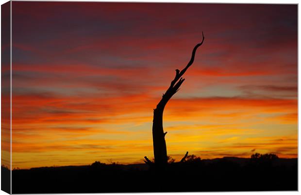 Utah sunset Canvas Print by Claudio Del Luongo