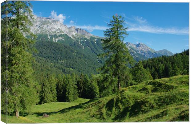 Scenery near Vättis, Switzerland Canvas Print by Claudio Del Luongo