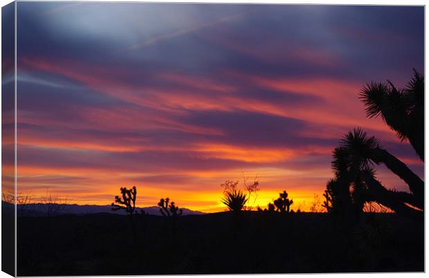 Nevada sunset Canvas Print by Claudio Del Luongo