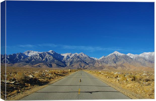 Road to Sierra Nevada, California Canvas Print by Claudio Del Luongo