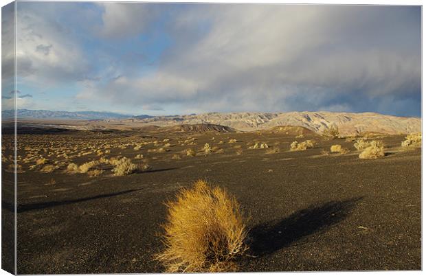 Near Ubehebe Crater, Death Valley Canvas Print by Claudio Del Luongo