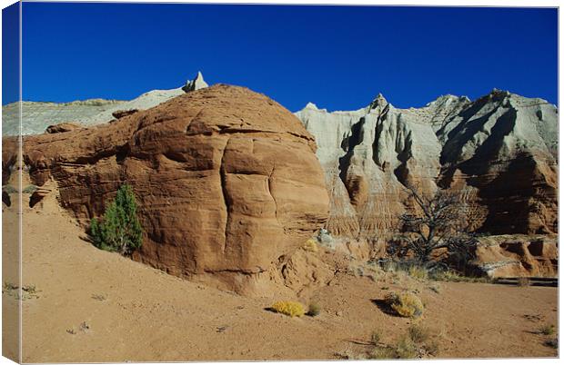 Kodachrome Basin, Utah Canvas Print by Claudio Del Luongo