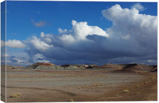 Clouds and blue sky on Petrified Forest Canvas Print by Claudio Del Luongo