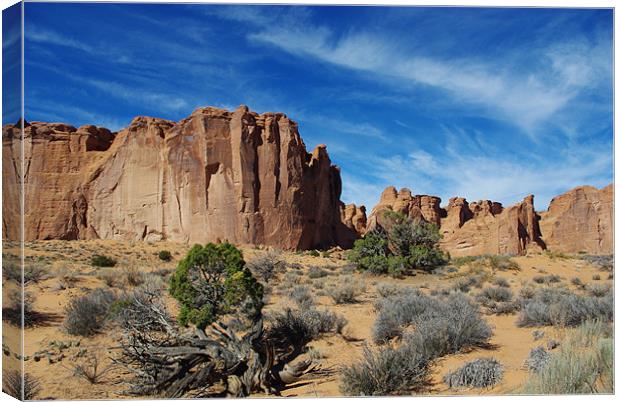 Arches National Park impression, Utah Canvas Print by Claudio Del Luongo