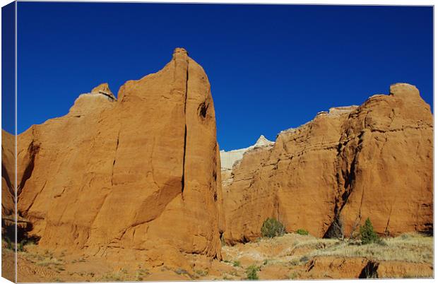 Kodachrome Basin State Park, Utah Canvas Print by Claudio Del Luongo