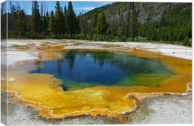 Multicoloured hot pool, Yellowstone Canvas Print by Claudio Del Luongo