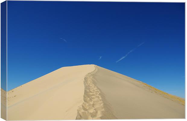 Mojave Desert Dune, California Canvas Print by Claudio Del Luongo
