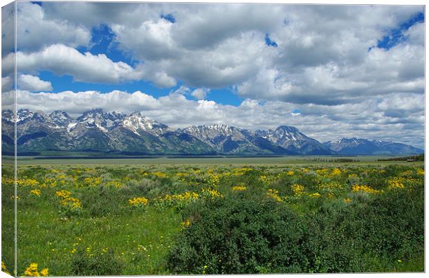 Grand Tetons, Wyoming Canvas Print by Claudio Del Luongo