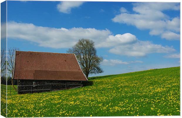 Spring colours in Bavaria Canvas Print by Claudio Del Luongo
