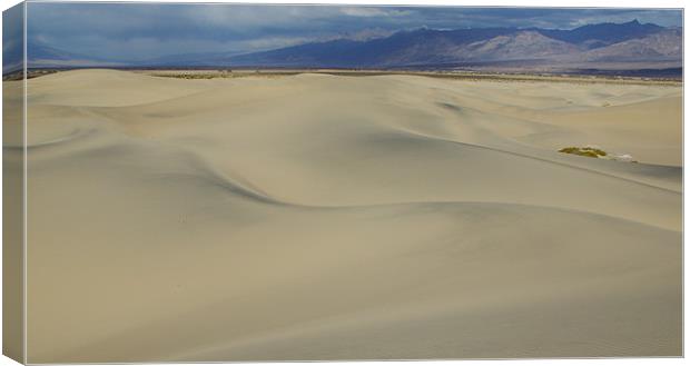 Dunes and mountains, Death Valley Canvas Print by Claudio Del Luongo