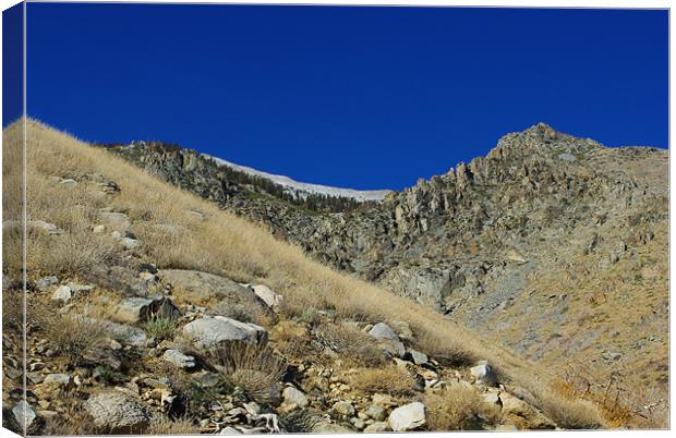 Sierra Nevada wilderness Canvas Print by Claudio Del Luongo