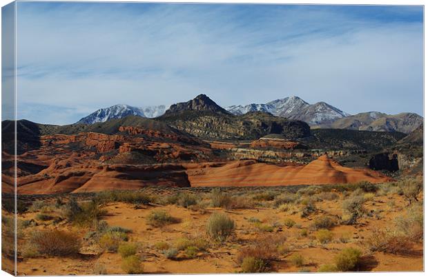 Orange sand, red rocks and Henry Mountains, Utah Canvas Print by Claudio Del Luongo