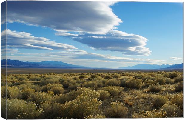 High desert impression, Nevada Canvas Print by Claudio Del Luongo