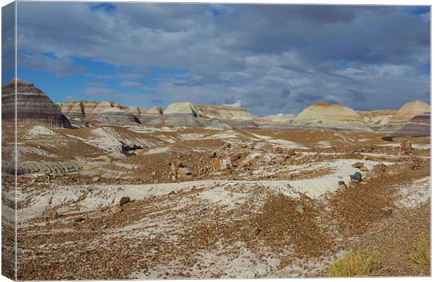 Petrified Forest National Park, Arizona Canvas Print by Claudio Del Luongo