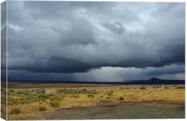 Approaching storm, Nevada desert Canvas Print by Claudio Del Luongo