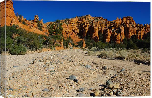 Dry river bed and orange rock towers Canvas Print by Claudio Del Luongo