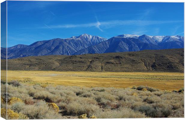 High desert and snowy mountains Canvas Print by Claudio Del Luongo