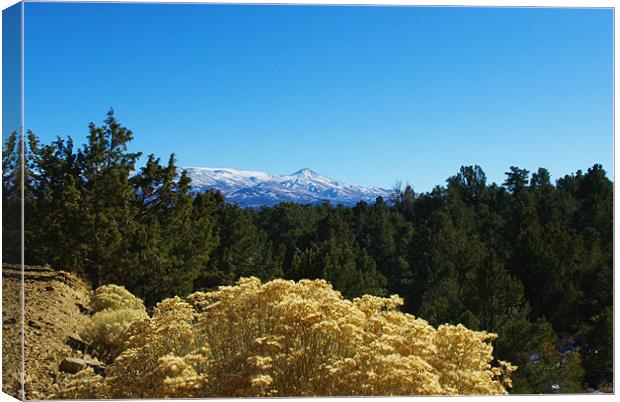 High desert, high mountains, Nevada Canvas Print by Claudio Del Luongo