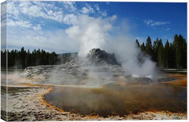 Geyser and hot pool in Yellowstone Canvas Print by Claudio Del Luongo