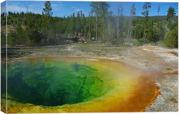 Morning Glory Pool, Yellowstone Canvas Print by Claudio Del Luongo
