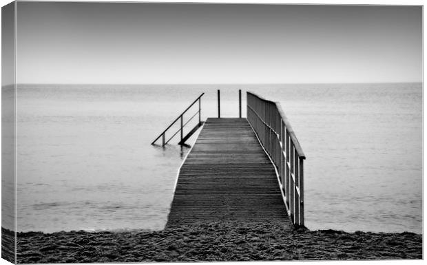 Swimming Platform in Denmark Canvas Print by Sophie Martin-Castex