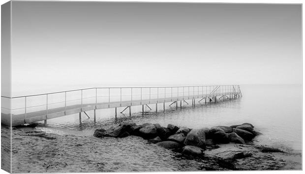 Swimming Platform Denmark Canvas Print by Sophie Martin-Castex