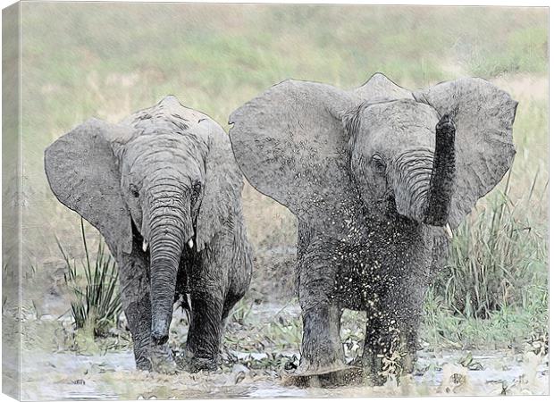 Elephants making a splash Canvas Print by Keith Furness