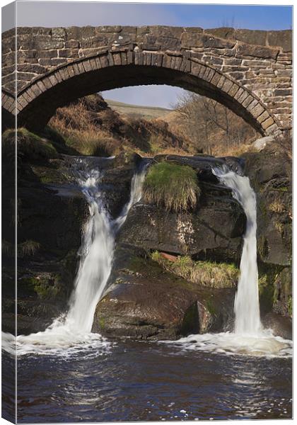 The Weeping Bridge Canvas Print by Philip Berry