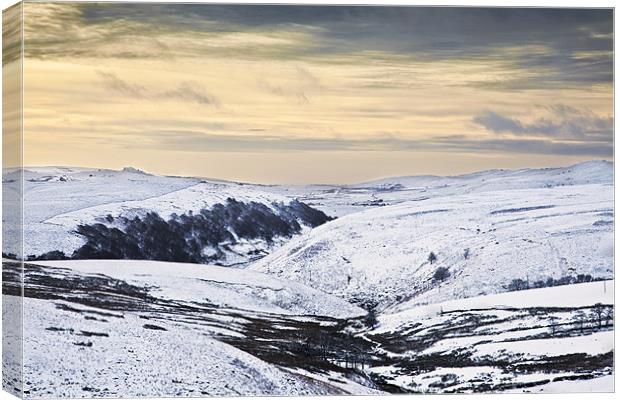 Winter at Axe Edge Moor Canvas Print by Philip Berry