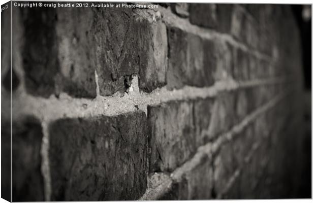 Brick Wall Canvas Print by craig beattie