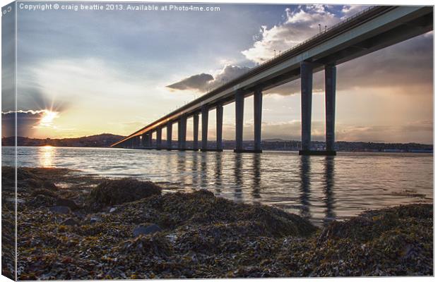 Sunset Seaweed Canvas Print by craig beattie