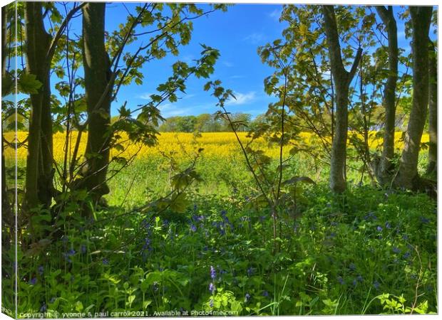 Rapeseed and bluebells Canvas Print by yvonne & paul carroll
