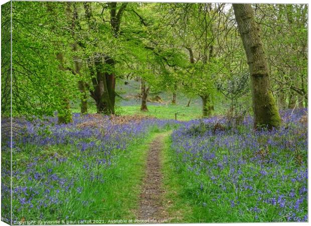 Beautiful bluebell woods in Scotland Canvas Print by yvonne & paul carroll