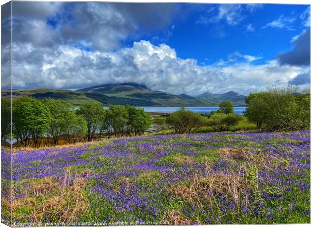 Looking towards Ben More across a field of bluebells on the Isle of Mull Canvas Print by yvonne & paul carroll