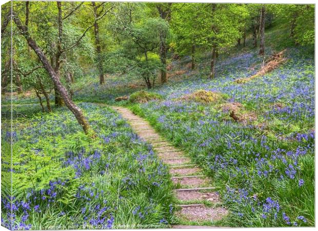 Bluebell woods in Inchcailloch Canvas Print by yvonne & paul carroll